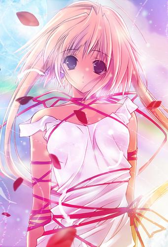 aimer